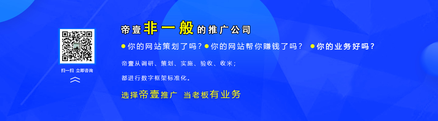 重庆帝一网络营销推广公司简介